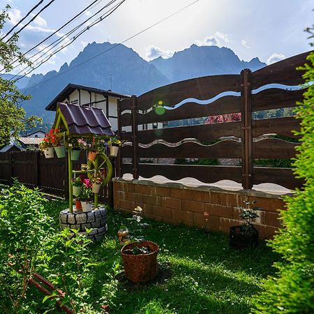 Casa Ramino Otel Buşteni Dış mekan fotoğraf