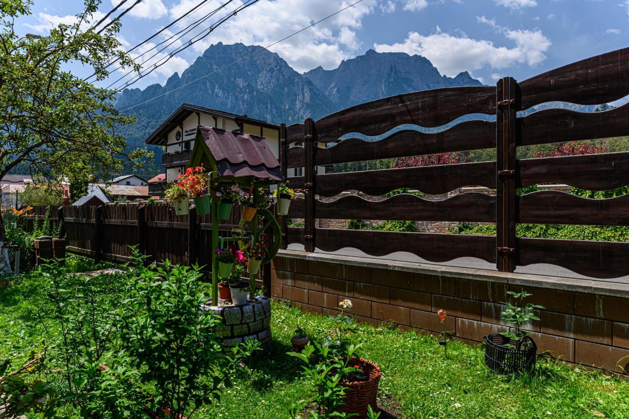 Casa Ramino Otel Buşteni Dış mekan fotoğraf