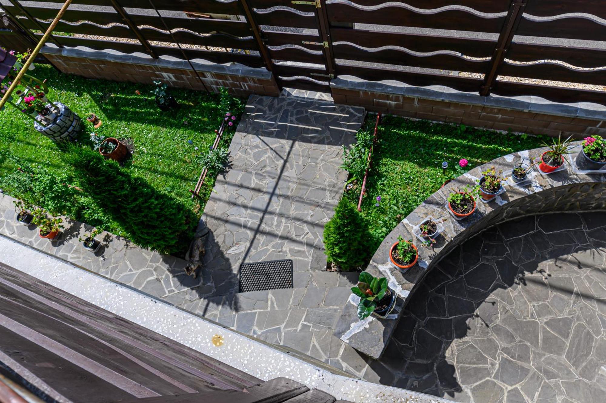 Casa Ramino Otel Buşteni Dış mekan fotoğraf